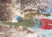 开云官方app入口-欧冠决赛焦点战，紫百合绽放之夜，佛罗伦萨战术完胜亚特兰大