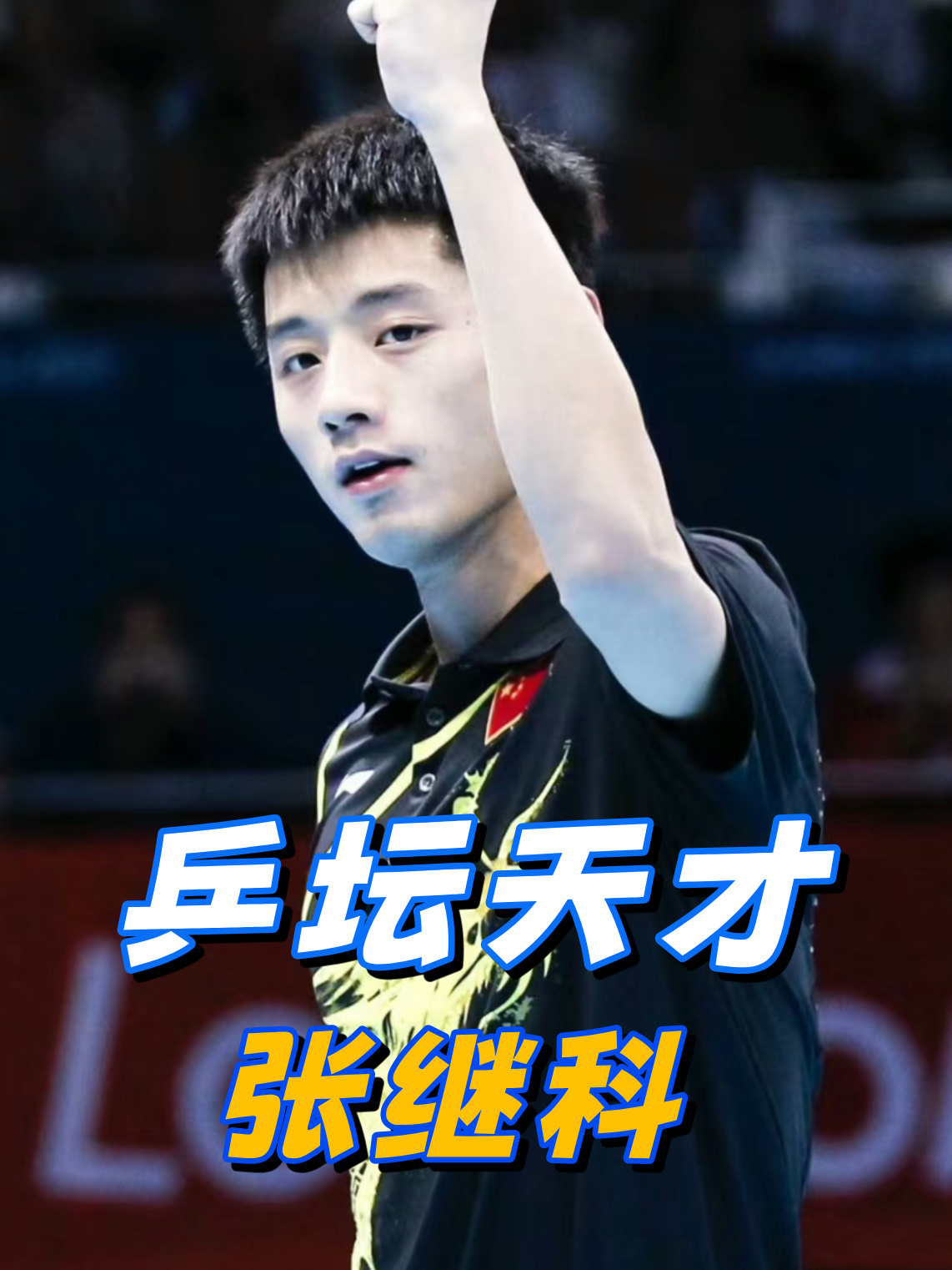 包含瑞典乒乓球队强势法国乒乓球队，张继科惊艳世界的词条