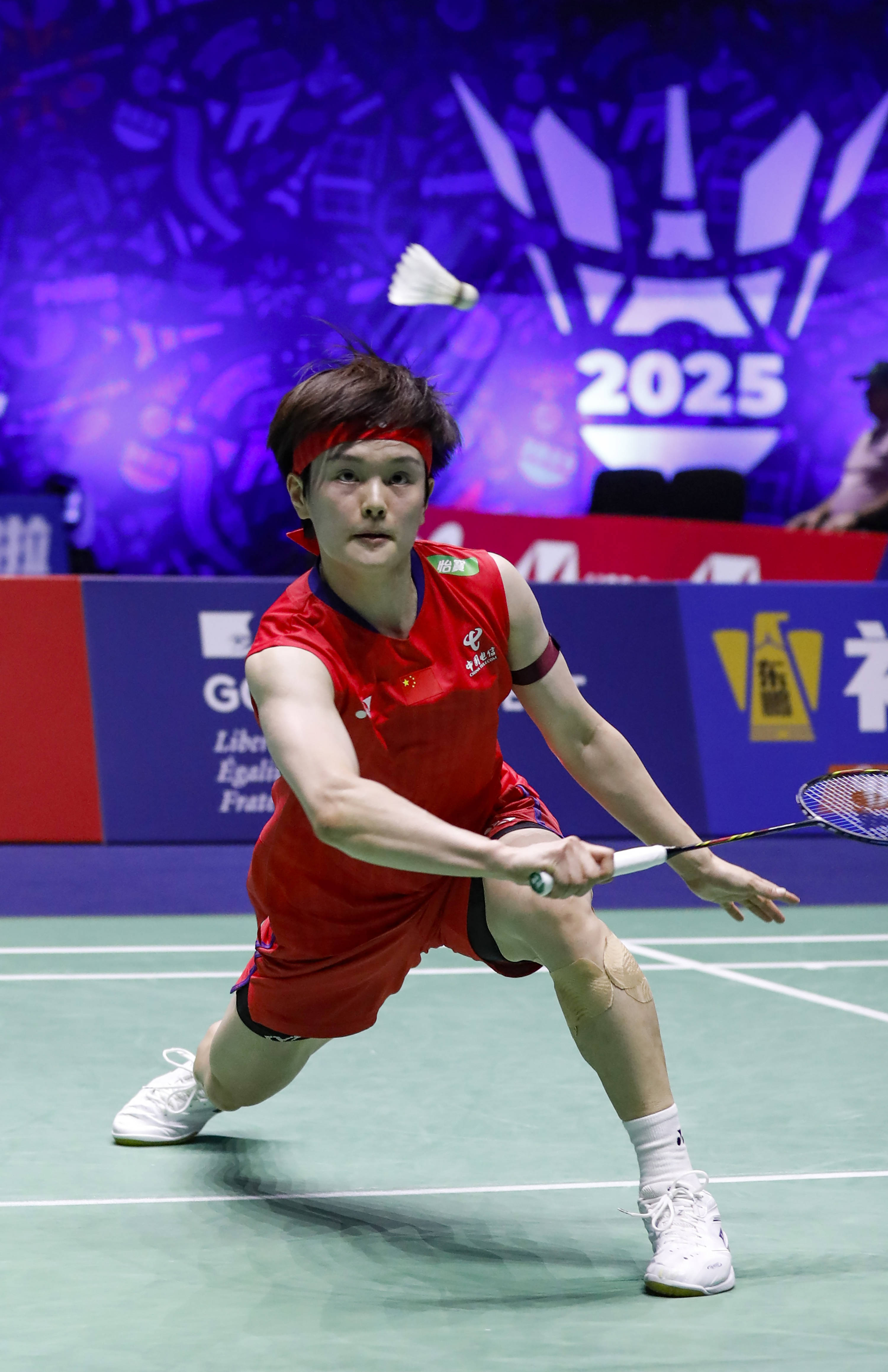 中国羽毛球队逆转日本羽毛球队，辛杜爆发神勇的简单介绍