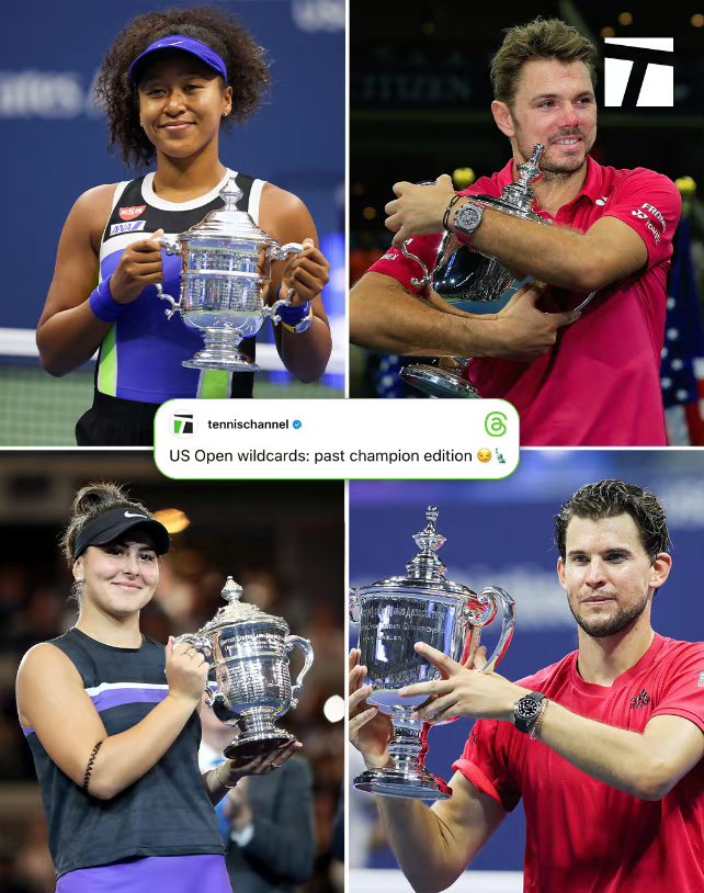 法国网球队绝杀日本网球队，瓦林卡送出助攻的简单介绍