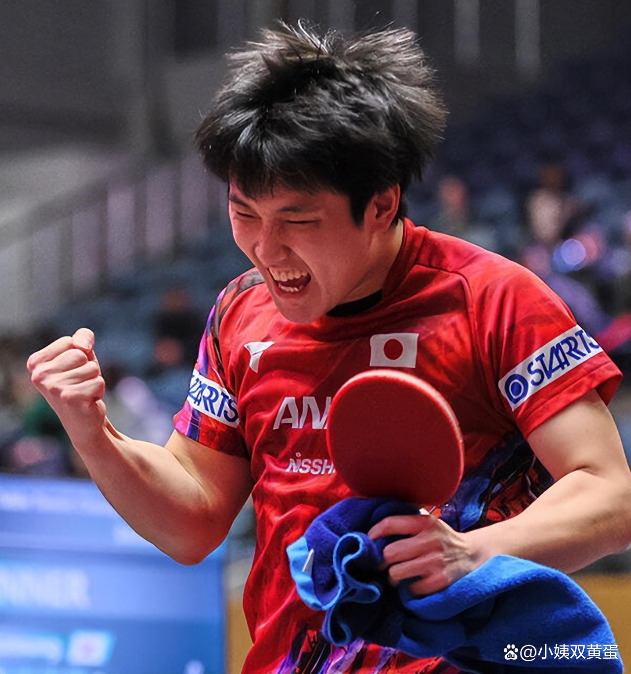 关于韩国乒乓球队横扫比利时乒乓球队，张本智和统治全场的信息