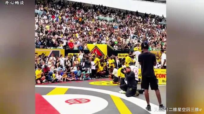 包含爱尔兰球员壮举惊呆全场观众的词条