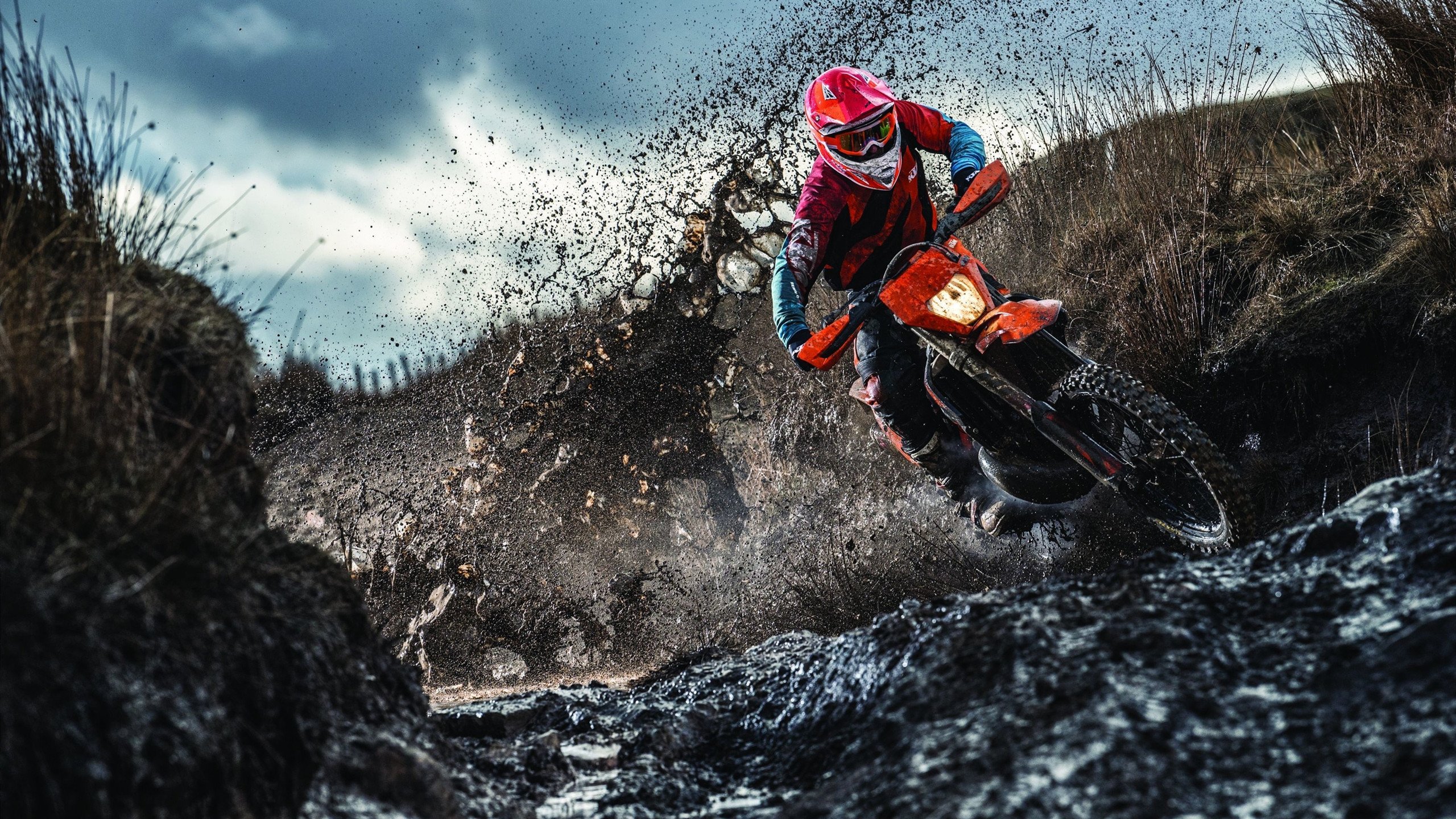 范戴克一夫当关，突尼斯战术完胜喀麦隆的背后逻辑